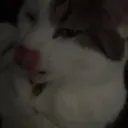 jxsephrxgers