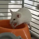 unstabilizing