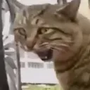 onixus__47458 avatar