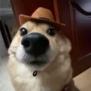 servyos