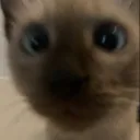 nikkkonik_