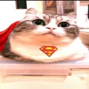 Аватар pp0993_64368