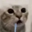 makarghostt