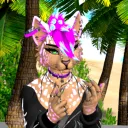 panacekitty12