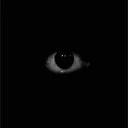 princefelix666 avatar