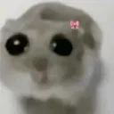 maxi_xdxd00