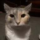 fatfaery