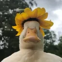 therealxatheduck