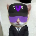 domgorzynski