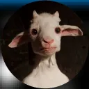 evan_9_11 avatar
