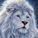 kingoflions member profile picture