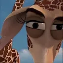 pohygo