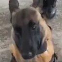 Аватар kirixsksxx3122