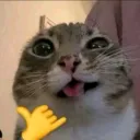 fabian_steyck avatar