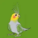 snituoc avatar