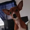 criss1758d_15544 avatar