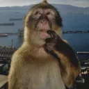 roolipelaaja2