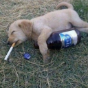 un826549#3709's avatar