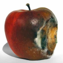 avatar pomme pourrie