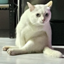 Discord Avatar