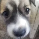 sneakyrat0727 avatar