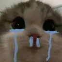 ipanelnino