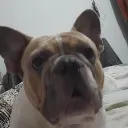 emainsanopro777 avatar