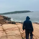 wilderwp2