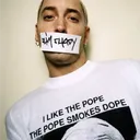 .the.realslimshady