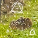 koko_24bun avatar