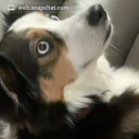 avatar I.DIDDY.LIL.KIDS