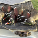 avatar im.jus.a.girl