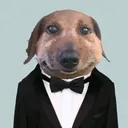 vortaleq