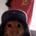 amur____