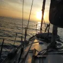 julesh0239_66611