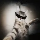 Avatar olivia.olszewskaaaa