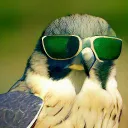 air_falcon