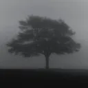 savedinarchivess.