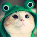cklk_pvp
