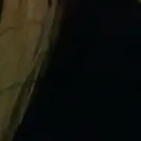 zaylan2funny