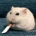 mmushh