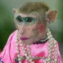 616monke