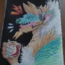 roa