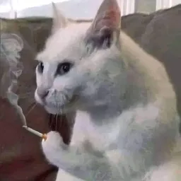 silent magician 2's Avatar