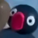 doxinwebster