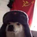 Аватар flyboys7