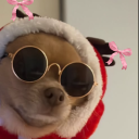 avatar S <3  Sleigha 🛷