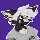 queencitycomet