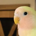 astrodoudou