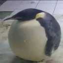 samuuu__o7